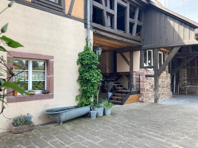 Joli Gite 2 Personnes En Alsace Guémar Eksteriør billede